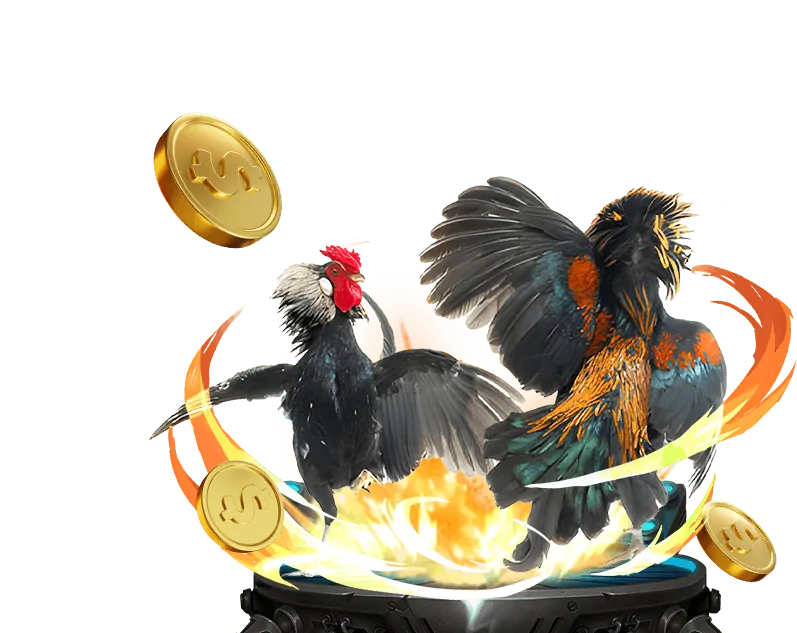 Tổng quan về nền tảng 69vin và các trò chơi bài tại 69win Casino